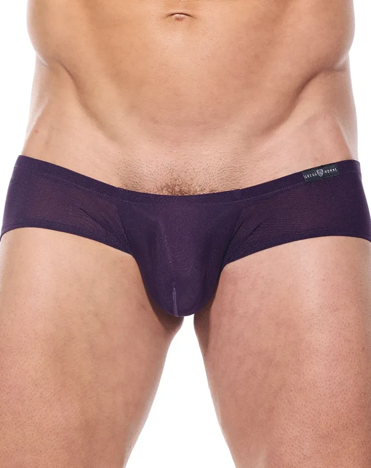 Gregg Homme Torridz Mini Trunk 87405 Plum