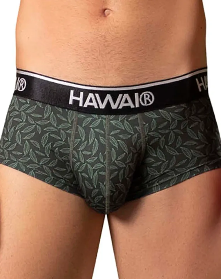 Hawai 42380 Printed Briefs Green