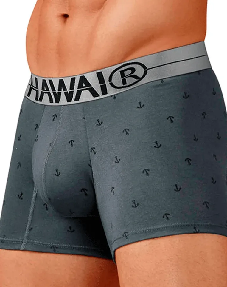 Hawair 42521 Cotton Blend Trunks Gray