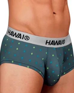 Hawair 42580 Microfiber Briefs Gray