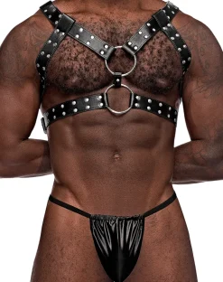 Male Power 591-266 Leather Gemini Harness Black