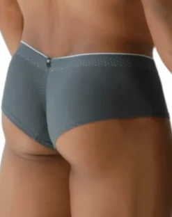 Xtremen 91269 Sleek V-cut Performance Mesh Briefs Gray